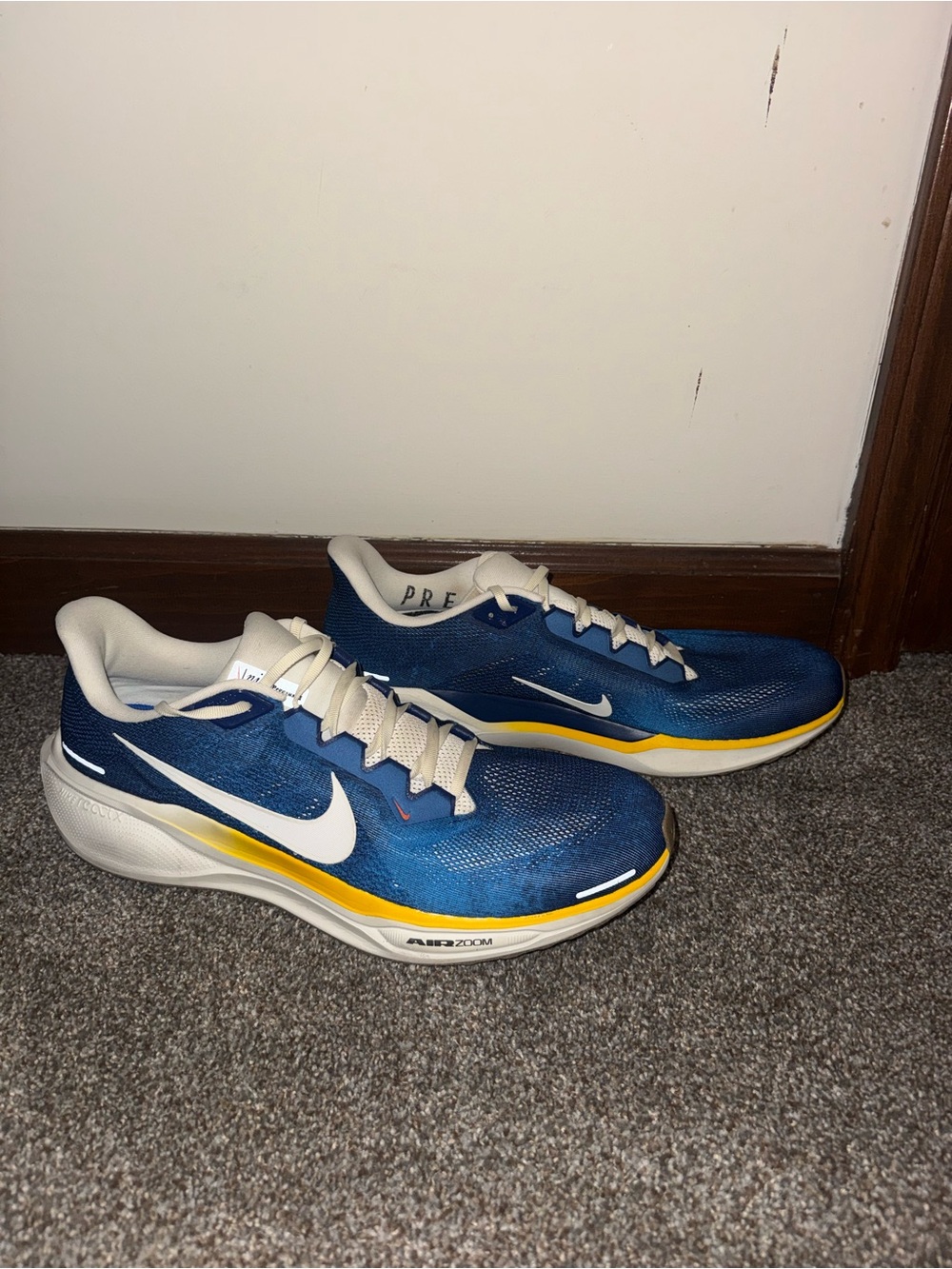 Nike Men’s Pegasus 41 Prefontaine Shoes